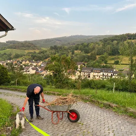 Weingut & Gastehaus Sonnenhof Han/Misafirhane 3*