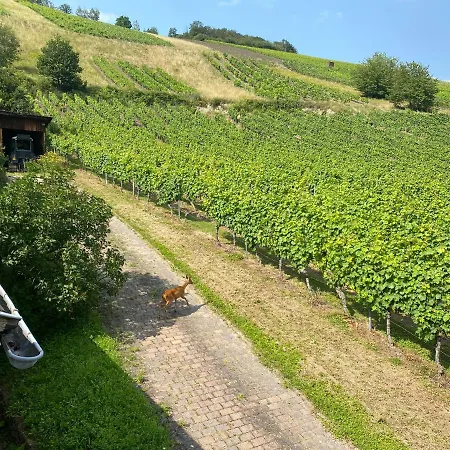 Weingut & Gastehaus Sonnenhof