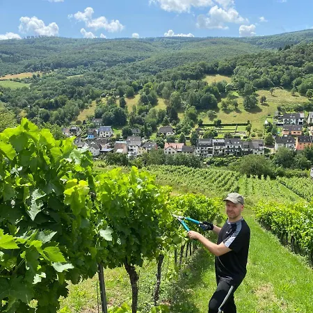 Han/Misafirhane Weingut & Gastehaus Sonnenhof
