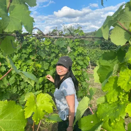 Han/Misafirhane Weingut & Gastehaus Sonnenhof Oberheimbach