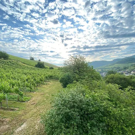 Han/Misafirhane Weingut & Gastehaus Sonnenhof 3*