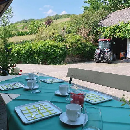 Weingut & Gastehaus Sonnenhof 3*