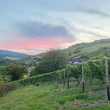 Weingut & Gastehaus Sonnenhof Han/Misafirhane 3*