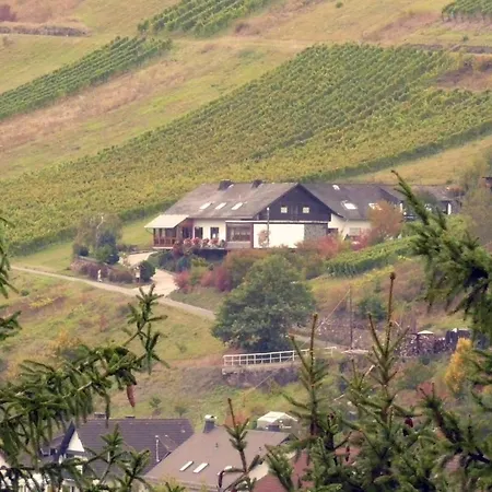 Weingut & Gastehaus Sonnenhof Han/Misafirhane Oberheimbach