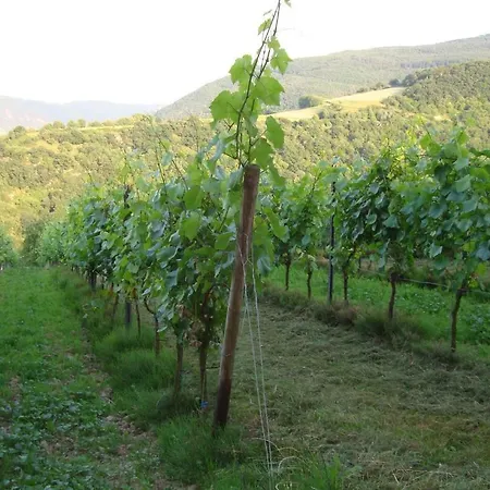 Weingut & Gastehaus Sonnenhof Han/Misafirhane Oberheimbach