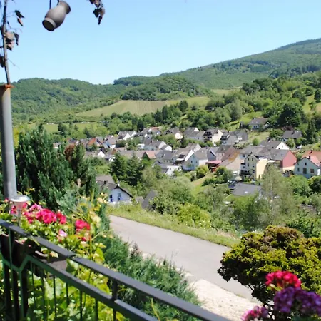 Han/Misafirhane Weingut & Gastehaus Sonnenhof 3*
