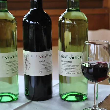 Han/Misafirhane Weingut & Gastehaus Sonnenhof